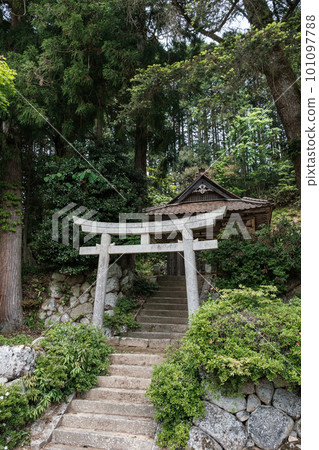 靜靜矗立在鄉間的神社（兵庫縣豐岡市丹東町：若宮神社） 101097788