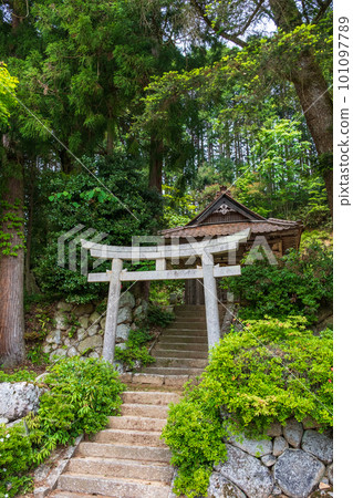 靜靜矗立在鄉間的神社（兵庫縣豐岡市丹東町：若宮神社） 101097789