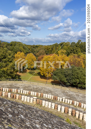 Scenery from Mt. Nagare Tumulus colored with yellow leaves 101098004