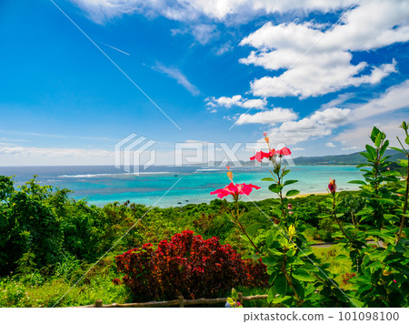 Hibiscus and the sea Hibiscus and the sea 101098100