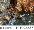 流經紅色岩石表面的海 101098227
