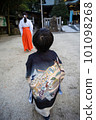 A 5-year-old child dressed in a kimono comes to visit the Shichi-go-san shrine and follows the shrine maiden through the precincts to the main shrine. 101098268