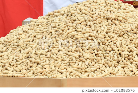 Bean sowing Bean sowing 101098576