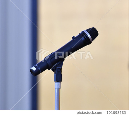 Microphone  101098583