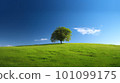 山上的一棵樹 101099175