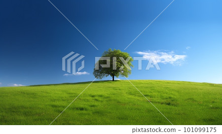 山上的一棵樹 山上的一棵樹 101099175