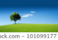 山上的一棵樹 101099177