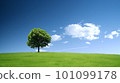山上的一棵樹 101099178