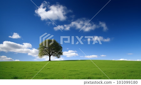 山上的一棵樹 山上的一棵樹 101099180