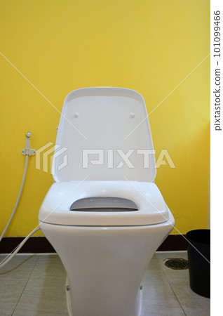 white flush toilet in yellow wall room, interior design white flush toilet in yellow wall room, interior design 101099466