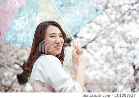 Cherry blossoms and a young woman 101099527