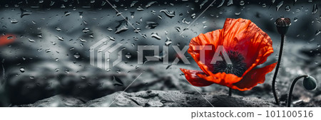 Banner with Red poppy as a symbol of memory for the fallen in the war. VE-Day, World War remembrance day. Generative AI illustration 101100516