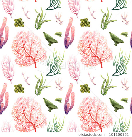 Watercolor seamless pattern with undersea plants and reef corals. Illustration isolated on white for wrapping, fabric Watercolor seamless pattern with undersea plants and reef corals. Illustration isolated on white for wrapping, fabric 101100561
