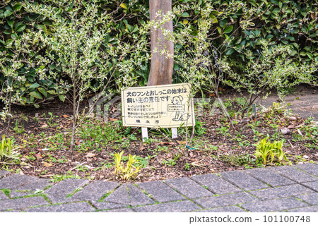 日本橫濱市景,寵物散步禮儀... ``主人有責任處理狗的便便和小便''=橫濱市 日本橫濱市景,寵物散步禮儀... ``主人有責任處理狗的便便和小便''=橫濱市 101100748