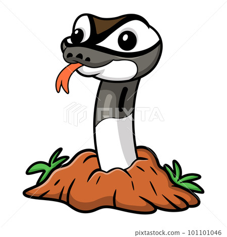 Cute axanthic pied ball python cartoon out from hole Cute axanthic pied ball python cartoon out from hole 101101046