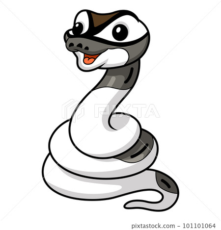 Cute axanthic pied ball python cartoon Cute axanthic pied ball python cartoon 101101064