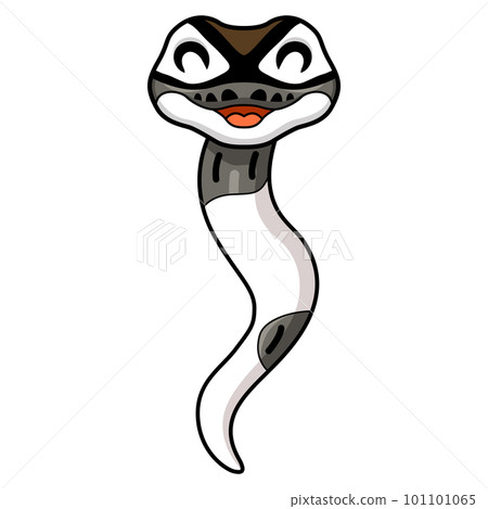 Cute axanthic pied ball python cartoon Cute axanthic pied ball python cartoon 101101065