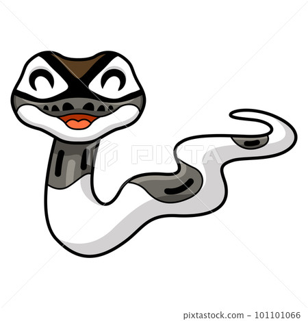 Cute axanthic pied ball python cartoon Cute axanthic pied ball python cartoon 101101066