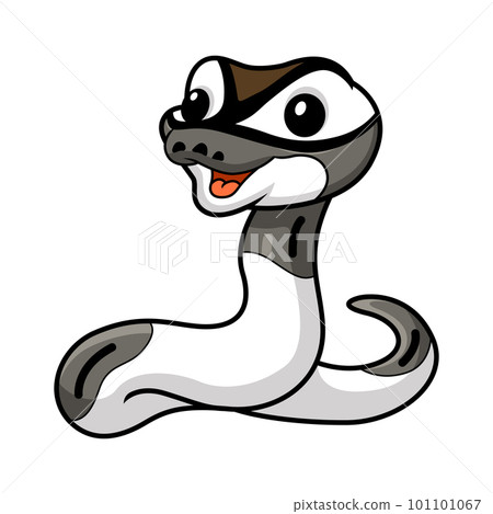 Cute axanthic pied ball python cartoon Cute axanthic pied ball python cartoon 101101067