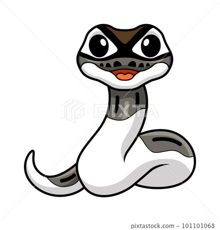 Cute axanthic pied ball python cartoon Cute axanthic pied ball python cartoon 101101068