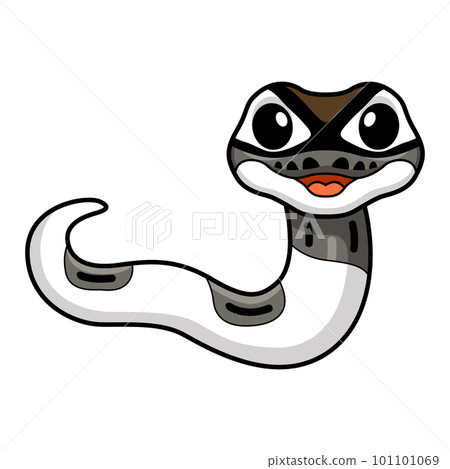 Cute axanthic pied ball python cartoon Cute axanthic pied ball python cartoon 101101069