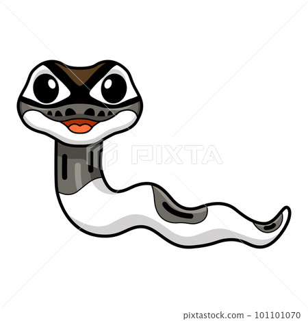 Cute axanthic pied ball python cartoon 101101070