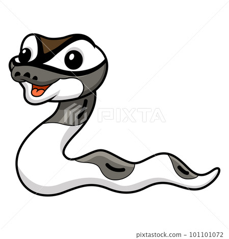 Cute axanthic pied ball python cartoon Cute axanthic pied ball python cartoon 101101072