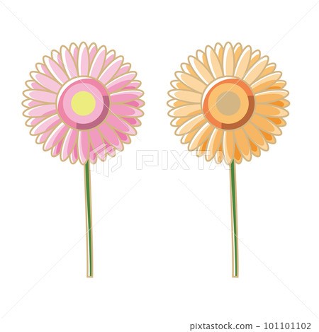 gerbera illustration spring color flower flower 101101102