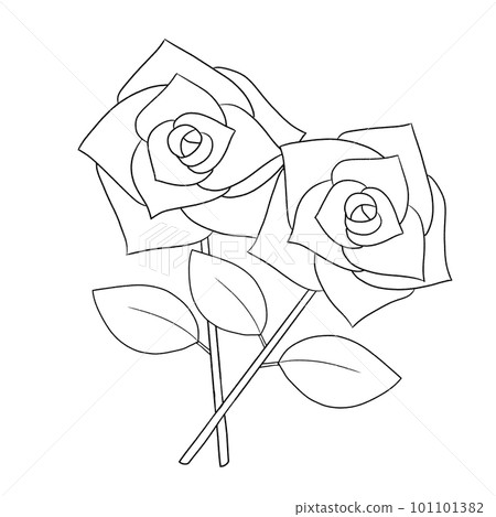 兩朵玫瑰的簡單線條畫插圖 兩朵玫瑰的簡單線條畫插圖 101101382