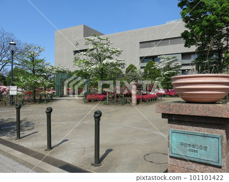 Heisei Azalea Park in Nerima Ward where azaleas bloom 101101422