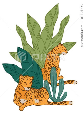 Leopard animals in natural habitat or zoo park Leopard animals in natural habitat or zoo park 101101439
