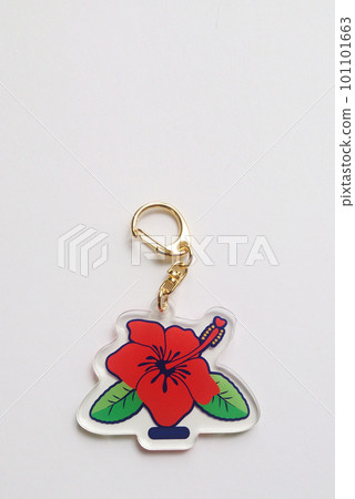 Hibiscus key holder original 101101663