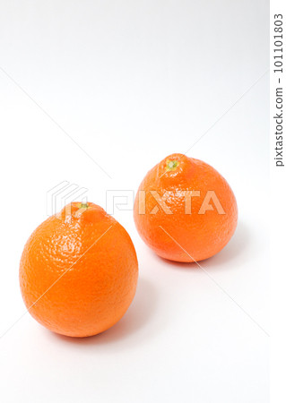 橘子柑橘類水果水果橘子食品果皮橘子柑橘甜點橙子 101101803
