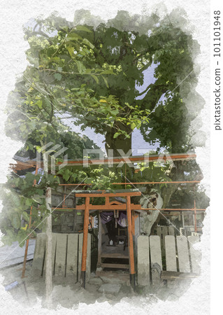 水彩風格 和歌山 Kimiidera 樟樹 和歌山縣和歌山市 101101948