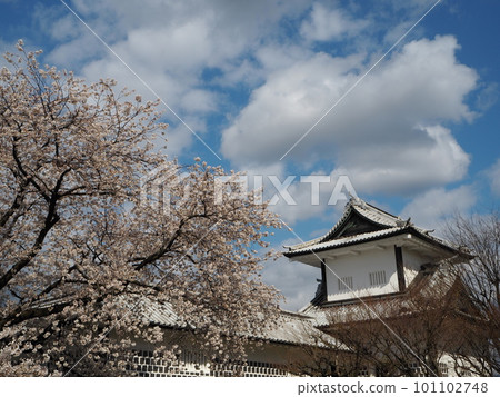 金澤城和玉仙人丸庭園 101102748
