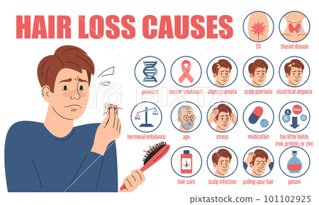 Hair loss causes infographic vector isolated. Web banner 101102925