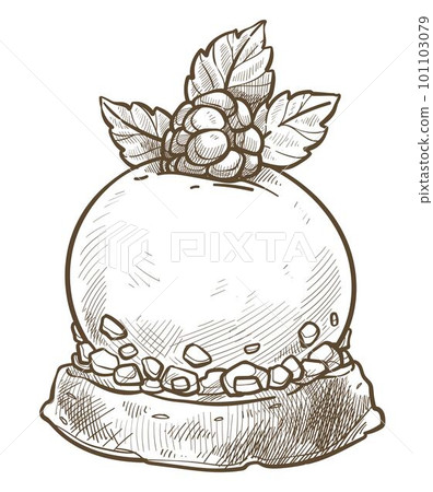 Sweet pudding with raspberry and mint leaf sketch Sweet pudding with raspberry and mint leaf sketch 101103079