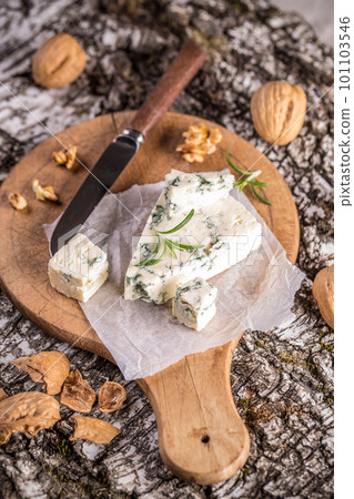 Cheese with mold 101103546