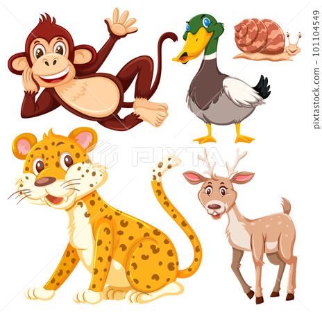 Set of cute wildlife cartoon character 101104549
