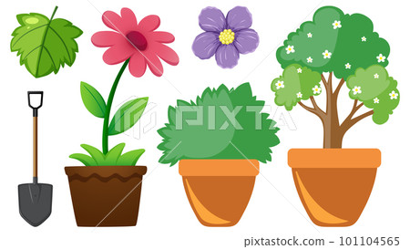 Set of flowers and plants Set of flowers and plants 101104565