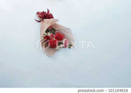 康乃馨 康乃馨 101104638