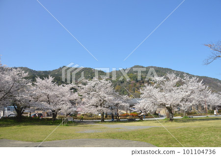 Kyoto Arashiyama 101104736