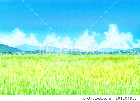 Summer rural landscape watercolor painting 101104813