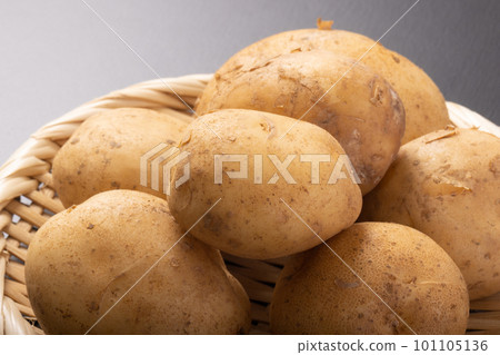 鹿兒島新馬鈴薯（Nishyutaka） 101105136