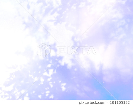 Plant shadow light sunshine Plant shadow light sunshine 101105332