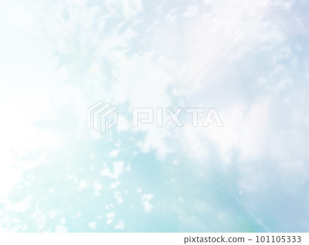 植物影光陽光 101105333