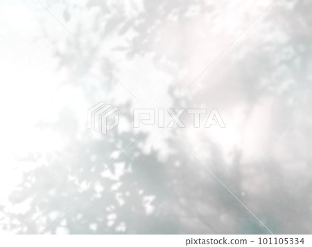 植物影光陽光 植物影光陽光 101105334