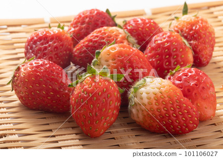 小草莓（大小不一）（栃乙女） 101106027