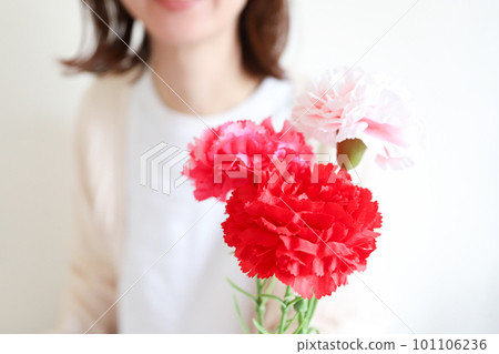 Woman's hand holding a bouquet of carnations 101106236