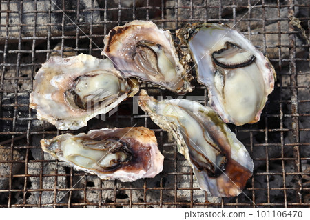 Charcoal-grilled oysters Charcoal-grilled oysters 101106470